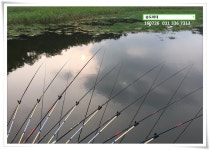 송도좌대 유료낚시터 > 폭염뚫고 하이찌...송전지 송도 좌대 조황. : 낚시사랑