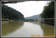 양평대명낚시터 유료낚시터 > ♣♣♣♣♣ 대명 낚시터의 7월마지막~8월 첫주 소식 ♣♣♣♣♣ : 낚시사랑