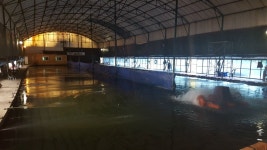 수동장어낚시터 유료낚시터 > 남양주 수동 장어 낚시터 개장식이 4일 앞으로 다가왔습니다!!!!!!!!!!!!!!!!!!!! : 낚시사랑