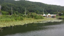 광명낚시터 유료낚시터 > 이번휴가는 광명으로~~~~~^^ : 낚시사랑