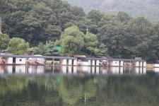 진우낚시터 유료낚시터 > 잘나와도 너무너무 잘나오네요.... : 낚시사랑