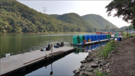 유정낚시터 유료낚시터 > 희소식과 나쁜소식... : 낚시사랑