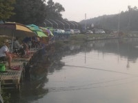 남전지기 유료낚시터 > 주말조황정보 : 낚시사랑