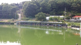 공주 큰목골낚시터 유료낚시터 > 공주 큰목골낚시터 8월22일 소식 : 낚시사랑