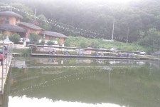 용인지곡낚시공원 유료낚시터 > ◐ 대물 잔치 서곡.? ◐ : 낚시사랑