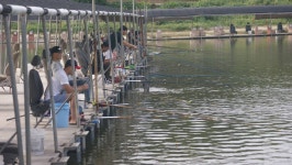 명인 낚시터 유료낚시터 > 추석이벤트 두번째(9월15일 목요일) : 낚시사랑