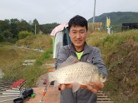 돌성저수지 유료낚시터 > 돌성낚시터 주말 조황입니다 : 낚시사랑