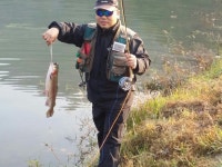 명암낚시터 유료낚시터 > 송어개장합니다 : 낚시사랑