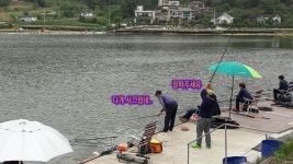 남창낚시터 유료낚시터 > *남창낚시터* 도대체 이유가 뭐냐? 한판 뜰껴? 좋다..다 나와봐....아씨... : 낚시사랑