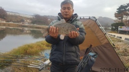 조일낚시터 유료낚시터 > [조일낚시터]조황 : 낚시사랑