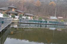 용인지곡낚시공원 유료낚시터 > ◐ 꿀팀 이벤트 정답자 발표 ◐ : 낚시사랑