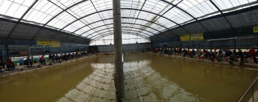 공주 큰목골낚시터 유료낚시터 > 공주 큰목골낚시터 11월7일 소식 : 낚시사랑