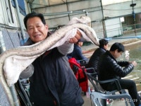 수목원낚시터 유료낚시터 > 수목원 장어&랍스타낚시터 23일(수) 조황 및 랍스타+대물장어 이벤트!! : 낚시사랑