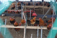 용인지곡낚시공원 유료낚시터 > ◐ 미리보는 마이웨이. ◐ : 낚시사랑