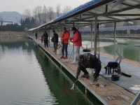 삼하낚시터 유료낚시터 > 삼하낚시터 (노지 송어 호조황 안내 / 하우스 붕어 입질활발) 새해복많아 받으세요 : 낚시사랑