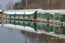 웃골낚시터 유료낚시터 > 17년도 추위도 이제 막바지라네요!~다가올 봄을 차분하게 기다려 봅니다!~건강조심하세요 : 낚시사랑