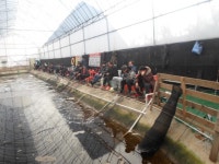 백경수낚시터 유료낚시터 > 항상 감사합니다.. : 낚시사랑