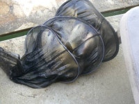 가산낚시터 유료낚시터 > 가산 소식 : 낚시사랑