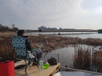 안석지 유료낚시터 > 안석낚시터 해빙 소식 알려드립니다. : 낚시사랑