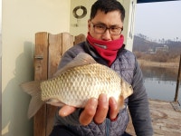 오산좌대 유료낚시터 > 오산좌대 조황정보 : 낚시사랑