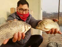 오산좌대 유료낚시터 > 오산좌대 조황정보 : 낚시사랑