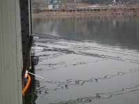 상지낚시터 유료낚시터 > 오늘 낮낚시 손맛을 보시고 내일 또 오시겠답니다 : 낚시사랑