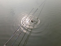 남전지기 유료낚시터 > 주말대박조황소식 : 낚시사랑