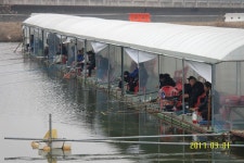 웃골낚시터 유료낚시터 > 확실하게 봄 내음이 물씬!~~좋~다!,,,물낚시의 계절이 다가왔습니다!~화이팅!~~ : 낚시사랑