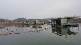 원일낚시터 유료낚시터 > 원일낚시터 월척조황입니다 : 낚시사랑