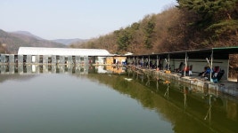 공주 큰목골낚시터 유료낚시터 > 공주 큰목골낚시터 노지개장 공지 : 낚시사랑