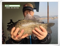 송도좌대 유료낚시터 > 이어진 상면...송전지 송도좌대 조황. : 낚시사랑