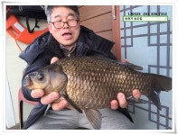 송도좌대 유료낚시터 > [오피셜] 44cm ... 송전지 송도좌대 조황. : 낚시사랑