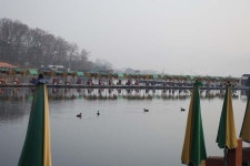 장광낚시터 유료낚시터 > 안성[장광] 터졌습니다 : 낚시사랑