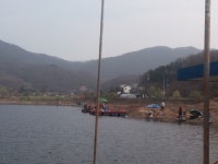 두창낚시터 유료낚시터 > 두창낚시터 4월8일주말조황(산란시작) : 낚시사랑