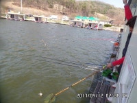 도곡낚시터 유료낚시터 > 도곡낚시터 붕어 조황 정보 : 낚시사랑