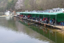 용인지곡낚시공원 유료낚시터 > ◐ 이제서야 ◐ : 낚시사랑