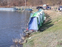 남전지기 유료낚시터 > 주말조황입니다 : 낚시사랑