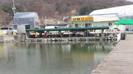 천안신당낚시터 유료낚시터 > 뉴신당낚시터 : 낚시사랑