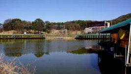 용설지 유료낚시터 > 용설 토종 2호지 대물 시즌 시작! : 낚시사랑