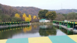 길명낚시공원 유료낚시터 > 포천길명낚시공원조황소식 : 낚시사랑