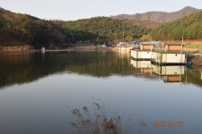 용담낚시터 유료낚시터 > 포천용담지 : 낚시사랑