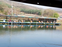 직두리낚시터 유료낚시터 > ★ 야간 조황 좋구요~ 낚시 하기 좋은 날씨! 직두리에서 함께하세요 ★ : 낚시사랑