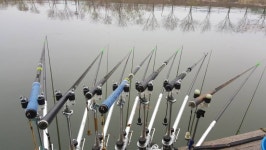 원일낚시터 유료낚시터 > 원일낚시터 월척조황입니다 : 낚시사랑