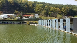 공주 큰목골낚시터 유료낚시터 > 공주 큰목골낚시터 4월24일 소식 : 낚시사랑