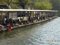 오빈낚시터 유료낚시터 > ***오빈낚시터*** 주말 조황정보및 방류 소식 전합니다*** : 낚시사랑