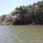 토종소근지 유료낚시터 > 소근리 4자 대 행진 : 낚시사랑