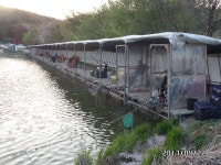 당골낚시터 유료낚시터 > ~~~조황정보~~~ : 낚시사랑