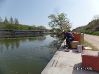 당골낚시터 유료낚시터 > ~~~조황정보~~~ : 낚시사랑