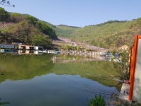 즐거운복상골 유료낚시터 > 싱그럼이 가득 합니다. : 낚시사랑