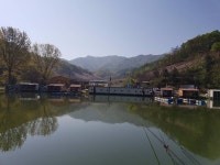 즐거운복상골 유료낚시터 > 싱그럼이 가득 합니다. : 낚시사랑